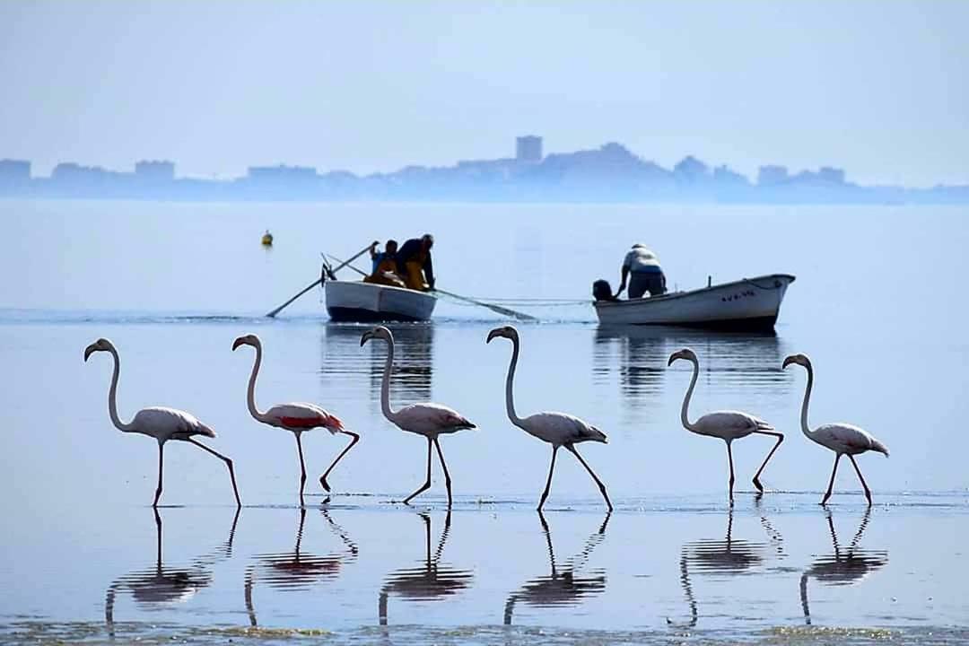 Hotel Alaska San Pedro del Pinatar Εξωτερικό φωτογραφία